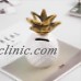 Novelty Gold Pineapple Money Box Fund Savings Cute Piggy Bank Tin Pot Decoratio   132603014166